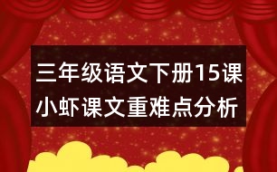 三年級語文下冊15課小蝦課文重難點分析筆記