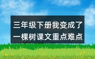 三年級下冊我變成了一棵樹課文重點難點隨堂筆記