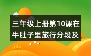 三年級(jí)上冊(cè)第10課在牛肚子里旅行分段及段落大意