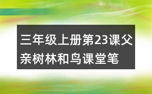 三年級(jí)上冊(cè)第23課父親、樹林和鳥課堂筆記重難點(diǎn)歸納