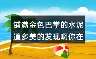 鋪滿金色巴掌的水泥道多美的發(fā)現(xiàn)啊你在上學或放學路上景色