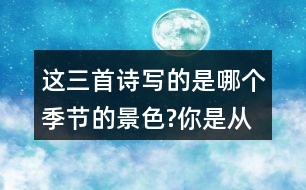 這三首詩寫的是哪個季節(jié)的景色?你是從哪些地方發(fā)現(xiàn)的?