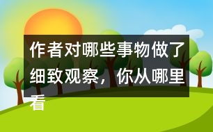 作者對(duì)哪些事物做了細(xì)致觀察，你從哪里看出來(lái)的