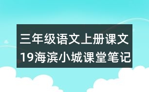 三年級語文上冊課文19海濱小城課堂筆記本課知識點