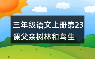 三年級(jí)語(yǔ)文上冊(cè)第23課父親、樹(shù)林和鳥(niǎo)生字組詞及拼音