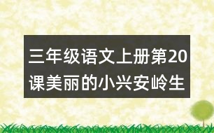 三年級(jí)語文上冊(cè)第20課美麗的小興安嶺生字組詞與近反義詞