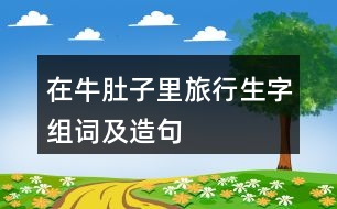 在牛肚子里旅行生字組詞及造句