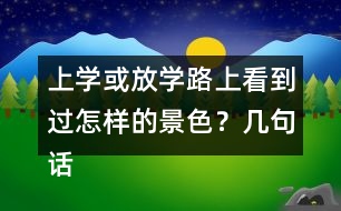 上學(xué)或放學(xué)路上看到過(guò)怎樣的景色？幾句話寫下來(lái)