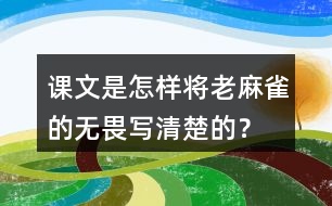 課文是怎樣將老麻雀的無畏寫清楚的？