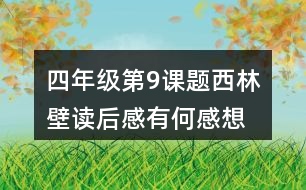 四年級(jí)第9課題西林壁讀后感有何感想