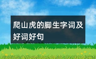 爬山虎的腳生字詞及好詞好句