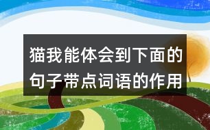 貓我能體會到下面的句子帶點詞語的作用，還能用這些詞語說句子呢。