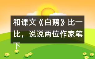 和課文《白鵝》比一比，說說兩位作家筆下的鵝有什么共同點？