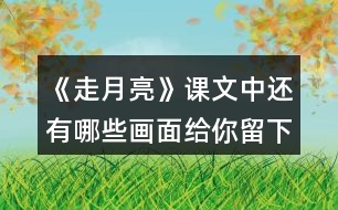 《走月亮》課文中還有哪些畫面給你留下了深刻的印象？和同學(xué)交流。