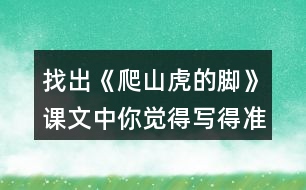 找出《爬山虎的腳》課文中你覺得寫得準確、形象的句子，抄寫下來。