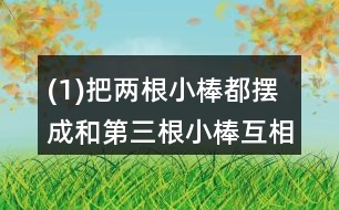 (1)把兩根小棒都擺成和第三根小棒互相平行?？匆豢?，這兩根小棒互相平行嗎?