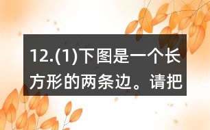 12.(1)下圖是一個(gè)長方形的兩條邊。請把這個(gè)長方形畫完整。