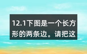 12.（1）下圖是一個(gè)長(zhǎng)方形的兩條邊。請(qǐng)把這個(gè)長(zhǎng)方形畫(huà)完整。