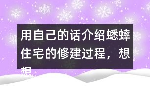 用自己的話介紹蟋蟀住宅的修建過程，想想為什么蟋蟀的住宅可以算是“偉大的工程”。