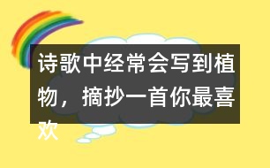 詩歌中經(jīng)常會寫到植物，摘抄一首你最喜歡的與植物有關的詩句