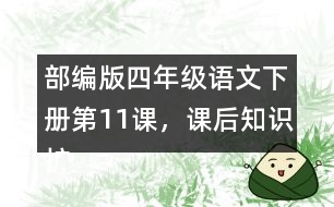 部編版四年級語文下冊第11課，課后知識擴展：什么是白樺樹