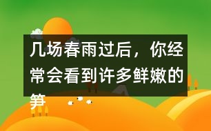 幾場(chǎng)春雨過(guò)后，你經(jīng)常會(huì)看到許多鮮嫩的筍，成群的從土里探出來(lái)，找到文中類似的句子