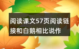 閱讀課文57頁(yè)閱讀鏈接,和白鵝相比說(shuō)作家筆下的鵝都有什么共同點(diǎn)