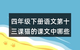 四年級(jí)下冊(cè)語文第十三課貓的課文中哪些地方表現(xiàn)出作者非常喜歡貓