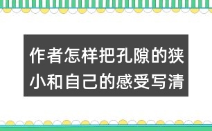 作者怎樣把孔隙的狹小和自己的感受寫(xiě)清楚的