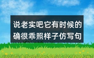 說老實(shí)吧它有時(shí)候的確很乖照樣子仿寫句子