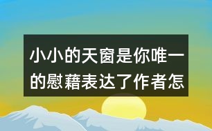 小小的天窗是你唯一的慰藉表達了作者怎樣的思想感情