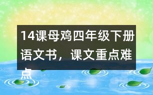 14課母雞四年級(jí)下冊(cè)語(yǔ)文書(shū)，課文重點(diǎn)難點(diǎn)筆記