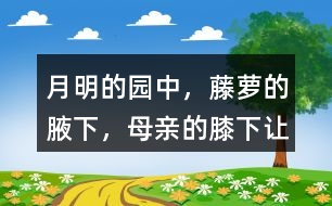 “月明的園中，藤蘿的腋下，母親的膝下”讓你有何感受？