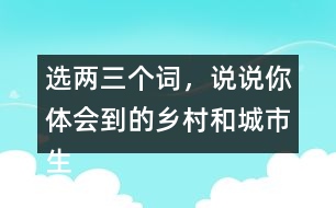 選兩三個(gè)詞，說(shuō)說(shuō)你體會(huì)到的鄉(xiāng)村和城市生活有何不同