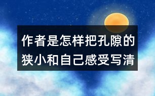 作者是怎樣把孔隙的狹小和自己感受寫清楚的