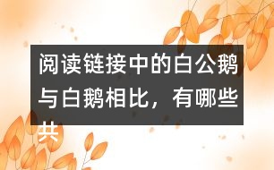 閱讀鏈接中的白公鵝與白鵝相比，有哪些共同點？