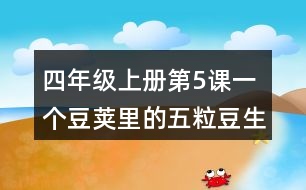 四年級(jí)上冊(cè)第5課一個(gè)豆莢里的五粒豆生字注音組詞