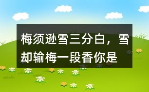 “梅須遜雪三分白，雪卻輸梅一段香”你是如何理解的