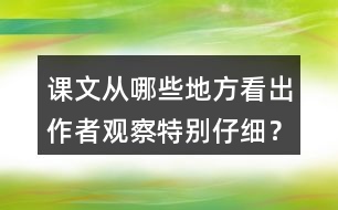 課文從哪些地方看出作者觀察特別仔細(xì)？