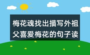 梅花魂找出描寫外祖父喜愛梅花的句子讀一讀，體會這些句子對表達外祖父的思鄉(xiāng)之情有什么好處。