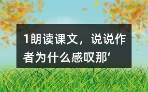 1、朗讀課文，說說作者為什么感嘆“那‘鳥的天堂’的確是鳥的天堂”。