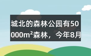 城北的森林公園有50000m2森林，今年8月份這片森林一共吸收了多少二氧化碳?