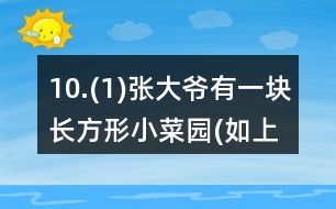 10.(1)張大爺有一塊長方形小菜園(如上圖)，他想用籬笆圍起來，需要籬笆多少米? (2)如果兩個公司所售的籬笆質(zhì)量相同，你能幫張大爺推薦一下，選用哪家公司的比較合算?你是怎樣想的?與同伴進行交流。