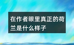 在作者眼里真正的荷蘭是什么樣子