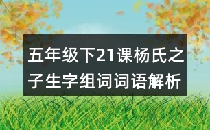 五年級(jí)下21課楊氏之子生字組詞詞語解析