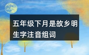 五年級(jí)下月是故鄉(xiāng)明生字注音組詞