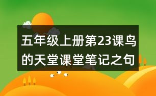 五年級上冊第23課鳥的天堂課堂筆記之句子解析