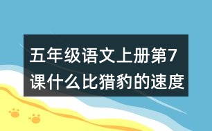 五年級(jí)語(yǔ)文上冊(cè)第7課什么比獵豹的速度更快課堂筆記之本課重難點(diǎn)