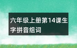 六年級上冊第14課生字拼音組詞