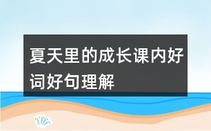 夏天里的成長課內(nèi)好詞好句理解